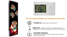 Charger l'image dans la galerie, Radiateur électrique rayonnant mural : " Phenix Zen "